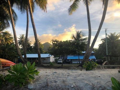Island Hopper Hotel in Kosrae Island Hopper Hotel in Kosrae