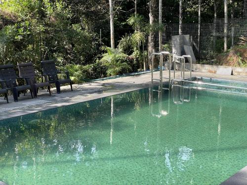 مسبح, Wetlands Wayanad Pool Resort with Natural Waterfalls in Vellamunda مسبح, Wetlands Wayanad Pool Resort with Natural Waterfalls in Vellamunda