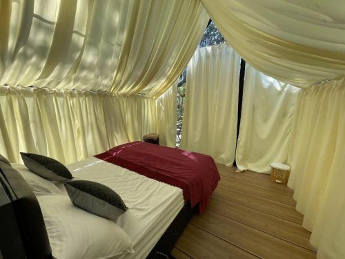 Wetlands Wayanad Pool Resort with Natural Waterfalls in Vellamunda Wetlands Wayanad Pool Resort with Natural Waterfalls in Vellamunda