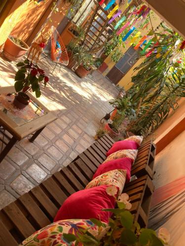 Calida habitacion a 10 min de Santo Domingo in Oaxaca Calida habitacion a 10 min de Santo Domingo in Oaxaca