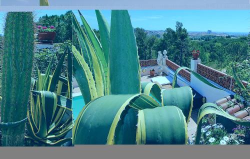 المنظر الخارجي, Beautiful Apartment In Palamos in El Figuerar المنظر الخارجي, Beautiful Apartment In Palamos in El Figuerar