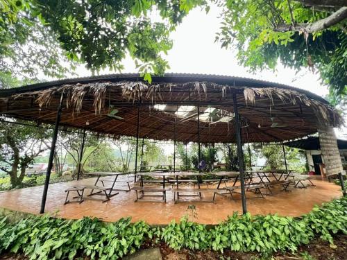 Restaurant, Đảo Chè Thanh Chương - Homestay Gió Lào (Đao Che Thanh Chuong - Homestay Gio Lao) in Trai Do Restaurant, Đảo Chè Thanh Chương - Homestay Gió Lào (Đao Che Thanh Chuong - Homestay Gio Lao) in Trai Do