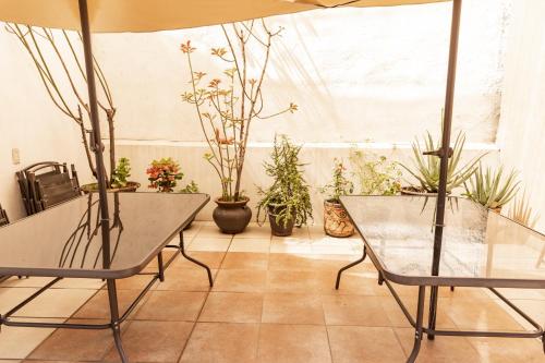 Balcony/terrace, Hermoso departamento en Oaxaca con estacionamiento in Oaxaca Balcony/terrace, Hermoso departamento en Oaxaca con estacionamiento in Oaxaca