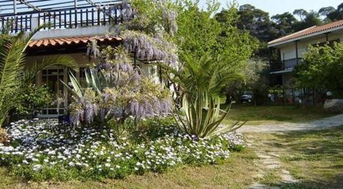 This photo about Spathies shared on HyHotel.com