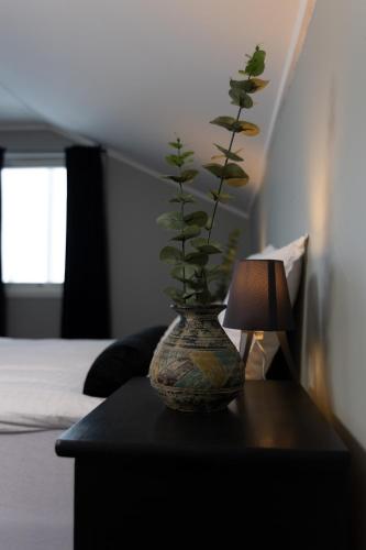 Enebolig sentralt på toppen av Tromsøya