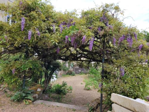 المنطقة المحيطة, Castel Saint Laurent in Langeais المنطقة المحيطة, Castel Saint Laurent in Langeais