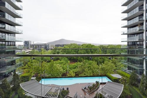 Birch Apartments in the City