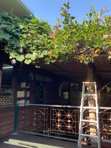 Banban Nannan Library and Guesthome in 난 시티 센터 Banban Nannan Library and Guesthome in 난 시티 센터
