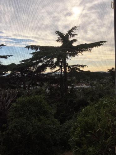 A szálláshely kívülről, San Leandro Studio in San Leandro (Kalifornia) A szálláshely kívülről, San Leandro Studio in San Leandro (Kalifornia)