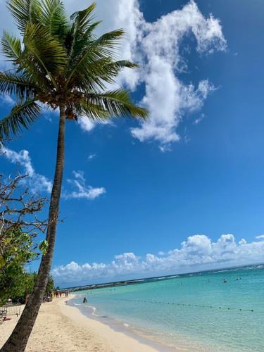 Studio Marina Albatros in Saint Francois Studio Marina Albatros in Saint Francois
