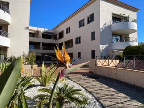 Studio Bandol 4 couchages centre ville calme wifi gratuite terrasse in Lescourche Studio Bandol 4 couchages centre ville calme wifi gratuite terrasse in Lescourche