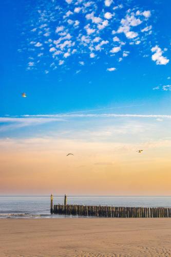 Vrijstaand vakantiehuis, 5 minuten lopen van het strand in 佐特蘭德 Vrijstaand vakantiehuis, 5 minuten lopen van het strand in 佐特蘭德