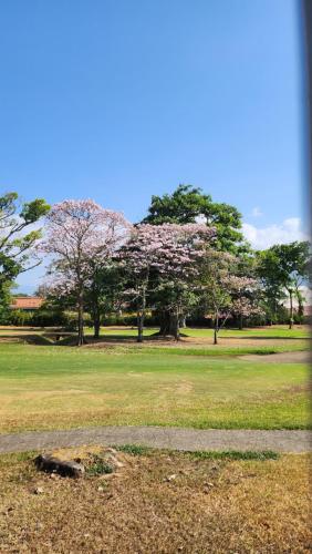 terrain de golf (sur site), La Casa de Cariari Al Golf in Heredia terrain de golf (sur site), La Casa de Cariari Al Golf in Heredia
