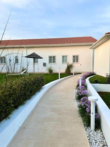 Garden, La Maison - Boutique Rooms in Sperlonga Garden, La Maison - Boutique Rooms in Sperlonga