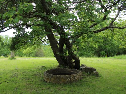 Belle maison percheronne restauree, ideale pour 5 personnes, proche Bastides et sites touristiques. in Monsac Belle maison percheronne restauree, ideale pour 5 personnes, proche Bastides et sites touristiques. in Monsac