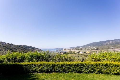 Dohos Skiathos Suites in Skiathos Island Dohos Skiathos Suites in Skiathos Island