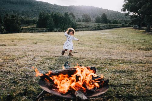 Pine Edge Heights by Tiny Away in Ellendale Pine Edge Heights by Tiny Away in Ellendale