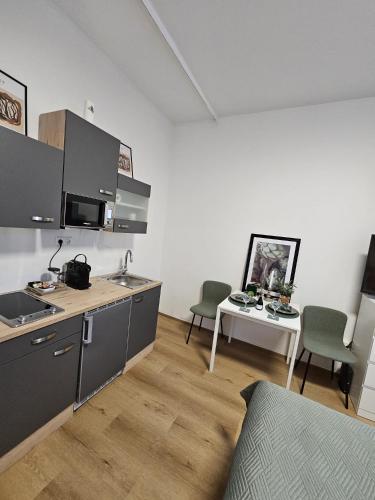 dapur, Pangsapuri 21 m² dengan 1 bilik tidur dan 1 bilik mandi peribadi di Wels (Stadtoase Wels) in Wels dapur, Pangsapuri 21 m² dengan 1 bilik tidur dan 1 bilik mandi peribadi di Wels (Stadtoase Wels) in Wels