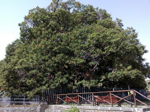 ที่เที่ยวใกล้ที่พัก, Oltre Il Giardino in เปดารา ที่เที่ยวใกล้ที่พัก, Oltre Il Giardino in เปดารา