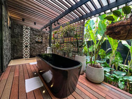 設施, Exôtico Beach Hotel (Exotico Beach Hotel) in 曼薩尼約港 設施, Exôtico Beach Hotel (Exotico Beach Hotel) in 曼薩尼約港