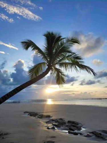 Surrounding environment, Casa Prema - Experiencia vegana e terapeutica a beira-mar in Ipioca Surrounding environment, Casa Prema - Experiencia vegana e terapeutica a beira-mar in Ipioca