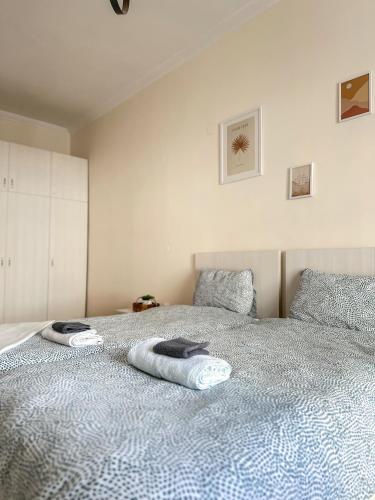 Downtown Hostel in Александруполіс Downtown Hostel in Александруполіс