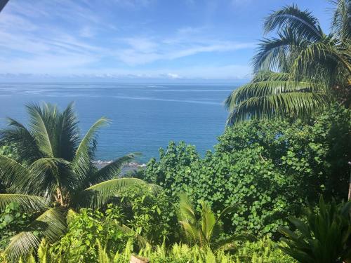 View, Maui Homestay Vue Ocean Exceptionnelle & Baleines en Saison in Vaira'o View, Maui Homestay Vue Ocean Exceptionnelle & Baleines en Saison in Vaira'o