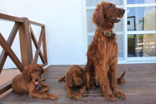 This photo about Hou Niao Fei Xing B&B shared on HyHotel.com