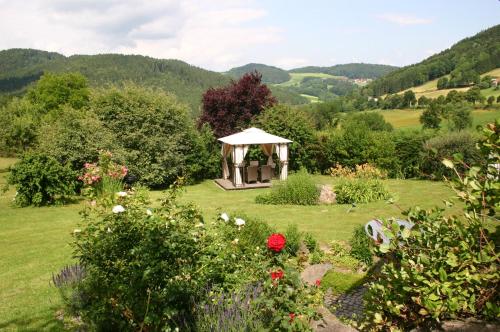 Garden, Pension Hoisl in Schonberg Garden, Pension Hoisl in Schonberg