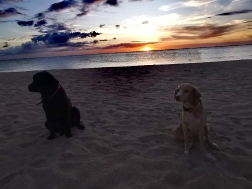 Beach, Appartement avec commodite 150 mts de la plage Casa el Pozo in Playa El Agua Beach, Appartement avec commodite 150 mts de la plage Casa el Pozo in Playa El Agua