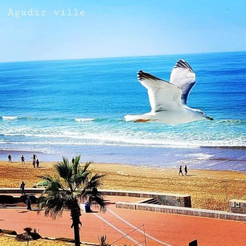 Appartement Deluxe avec Piscine Privée (Appartement Deluxe avec Piscine Privee) in 아바투아 Appartement Deluxe avec Piscine Privée (Appartement Deluxe avec Piscine Privee) in 아바투아