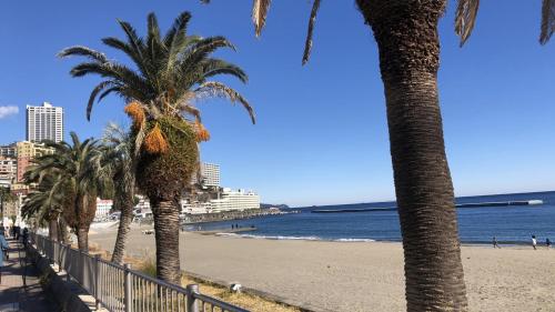 주변 명소, 토요코 인 아타미 에키마에 (Toyoko Inn Atami Ekimae) in 아타미 주변 명소, 토요코 인 아타미 에키마에 (Toyoko Inn Atami Ekimae) in 아타미