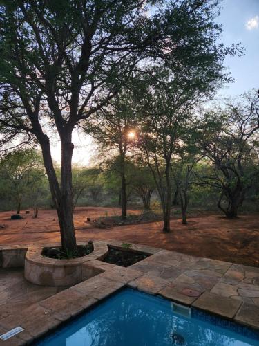 tuin, Stella Bush Villa in Hoedspruit tuin, Stella Bush Villa in Hoedspruit