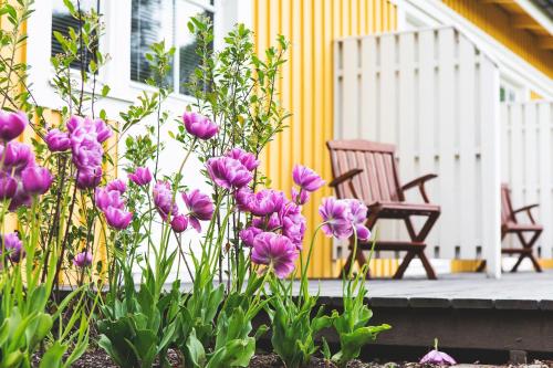 This photo about Lejondals Slott shared on HyHotel.com