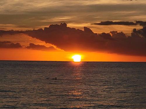 Chalet The Palm Retreat Buye, Playa Buyé (Chalet The Palm Retreat Buye, Playa Buye) in 博克龍 Chalet The Palm Retreat Buye, Playa Buyé (Chalet The Palm Retreat Buye, Playa Buye) in 博克龍