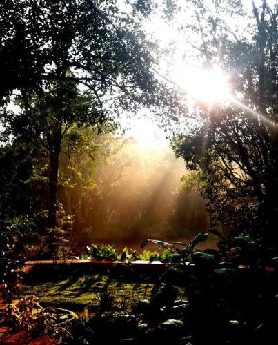 View, Dream Acres Homestay in Somvarpet View, Dream Acres Homestay in Somvarpet