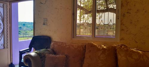 Jerash mountain studio chalet شاليه جبال جرش و عجلون in جرش Jerash mountain studio chalet شاليه جبال جرش و عجلون in جرش
