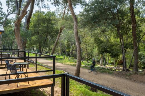 Bright Cabin Park in برغت Bright Cabin Park in برغت