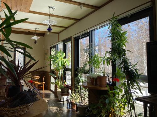 拉克莱特旅馆 (Pension Raclette) in 中富良野 拉克莱特旅馆 (Pension Raclette) in 中富良野