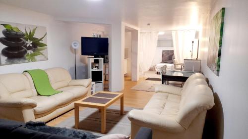 สิ่งอำนวยความสะดวก, Grand Studio Indépendant à 30 minutes de Paris (RDC d'un pavillon) dans village bord de Seine (Grand Studio Independant a 30 minutes de Paris (RDC d'un pavillon) dans village bord de Seine) in เมซอง ราฟิต สิ่งอำนวยความสะดวก, Grand Studio Indépendant à 30 minutes de Paris (RDC d'un pavillon) dans village bord de Seine (Grand Studio Independant a 30 minutes de Paris (RDC d'un pavillon) dans village bord de Seine) in เมซอง ราฟิต