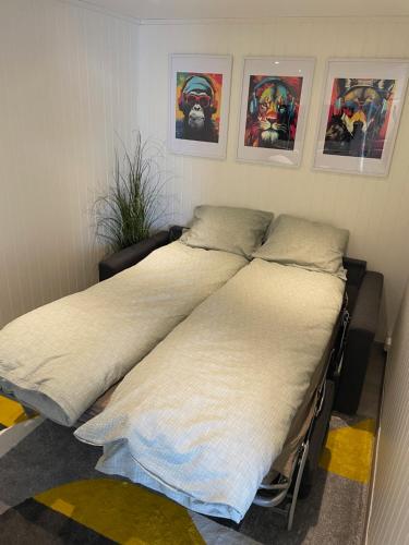 Tromsø Skyline Sanctuary