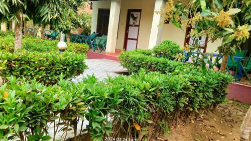 สวน, Hotel Butterfly , Sauraha , Chitwan in ซอราฮา สวน, Hotel Butterfly , Sauraha , Chitwan in ซอราฮา