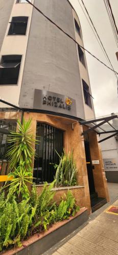 مدخل, Hotel Phizalis in سو كيتانو دو سول مدخل, Hotel Phizalis in سو كيتانو دو سول