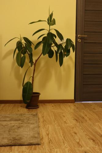 Lucy B&B in Garni Lucy B&B in Garni