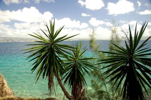 This photo about Residence La Marina shared on HyHotel.com