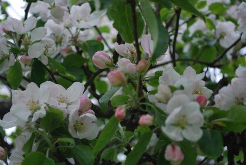 This photo about Valla Folkhogskola shared on HyHotel.com