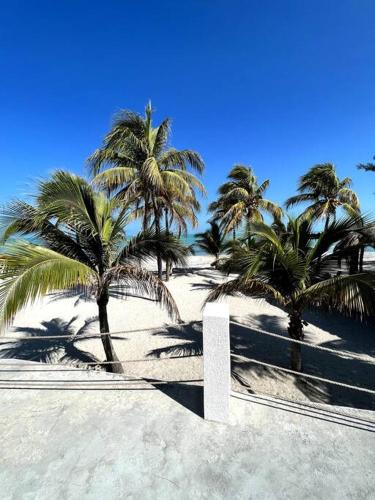 Playa privada con casa entera y palapa in Agrarista Playa privada con casa entera y palapa in Agrarista