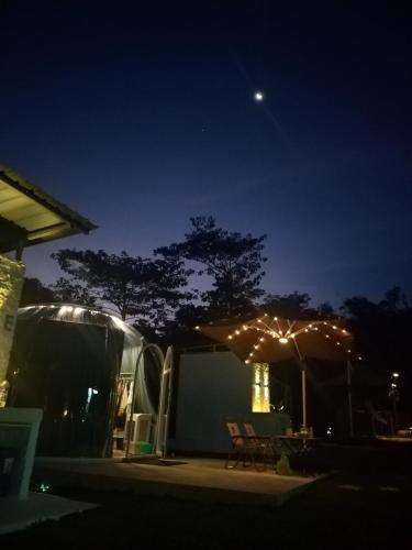 The Starry Dome Family Room 2A 2K in Ringlet The Starry Dome Family Room 2A 2K in Ringlet