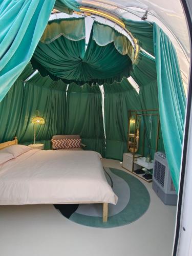 The Starry Dome Family Room 2A 2K in Ringlet The Starry Dome Family Room 2A 2K in Ringlet