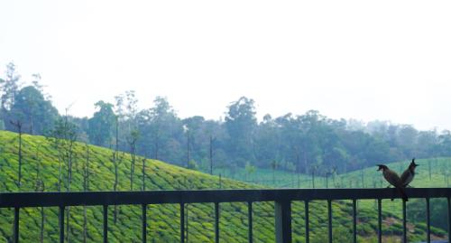Zen Vista in Valparai Zen Vista in Valparai